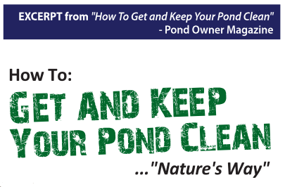 How to get and keep your pond clean by Steve Fender