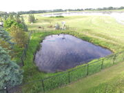 My Irrigation Pond